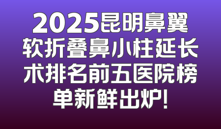 2025昆明鼻翼软折叠鼻小柱延长术排名前五医院榜单新鲜出炉！