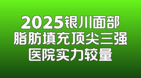 2025银川面部脂肪填充顶尖三强医院实力较量