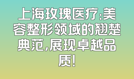 上海玫瑰医疗：美容整形领域的翘楚典范，展现卓越品质！