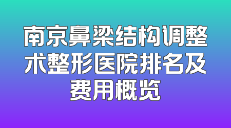南京鼻梁结构调整术整形医院排名及费用概览
