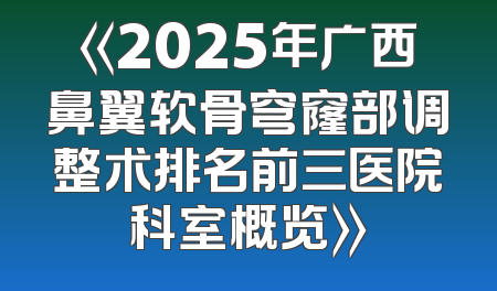 《2025年广西鼻翼软骨穹窿部调整术排名前三医院科室概览》