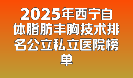 2025年西宁自体脂肪丰胸技术排名公立私立医院榜单