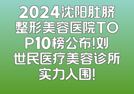 2024沈阳肚脐整形美容医院TOP10榜公布！刘世民医疗美容诊所实力入围！