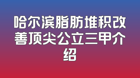 哈尔滨脂肪堆积改善顶尖公立三甲介绍