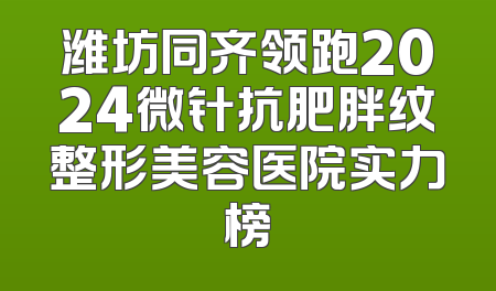 潍坊同齐领跑2024微针抗肥胖纹整形美容医院实力榜