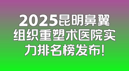 2025昆明鼻翼组织重塑术医院实力排名榜发布！