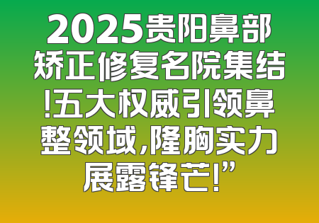 2025贵阳鼻部矫正修复名院集结！五大权威引领鼻整领域，隆胸实力展露锋芒！”