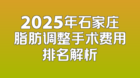 2025年石家庄脂肪调整手术费用排名解析
