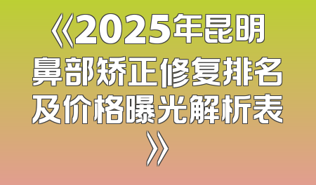 《2025年昆明鼻部矫正修复排名及价格曝光解析表》