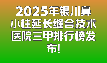 2025年银川鼻小柱延长缝合技术医院三甲排行榜发布！