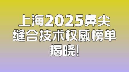 上海2025鼻尖缝合技术权威榜单揭晓！