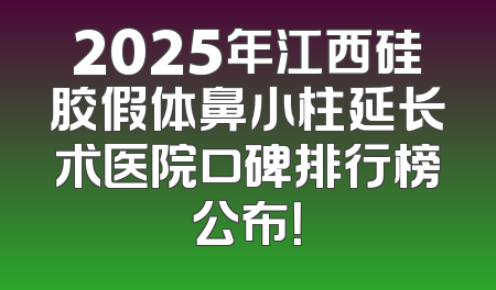 2025年江西硅胶假体鼻小柱延长术医院口碑排行榜公布！