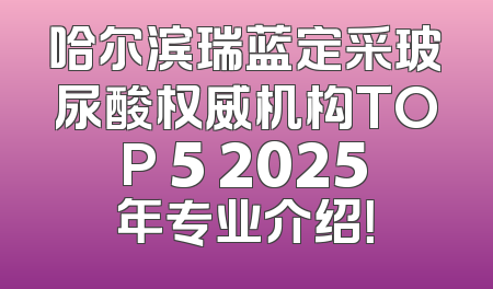 哈尔滨瑞蓝定采玻尿酸权威机构TOP 5 2025年专业介绍！