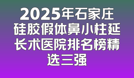 2025年石家庄硅胶假体鼻小柱延长术医院排名榜精选三强
