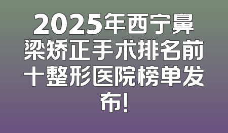 2025年西宁鼻梁矫正手术排名前十整形医院榜单发布！