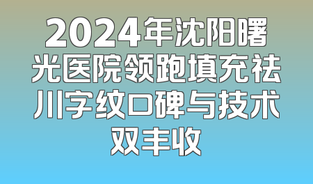 2024年沈阳曙光医院领跑填充祛川字纹口碑与技术双丰收