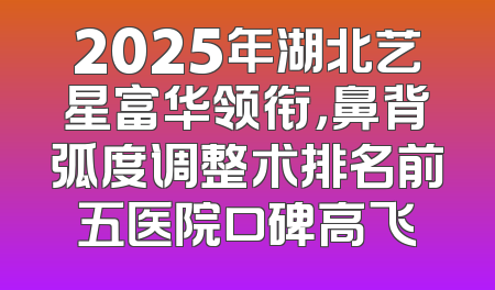 2025年湖北艺星富华领衔，鼻背弧度调整术排名前五医院口碑高飞