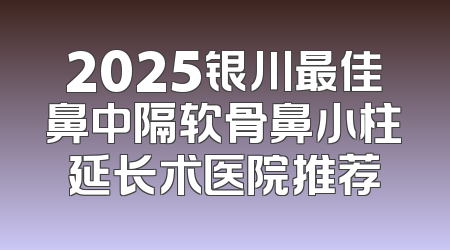 2025银川最佳鼻中隔软骨鼻小柱延长术医院推荐