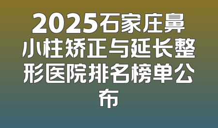 2025石家庄鼻小柱矫正与延长整形医院排名榜单公布