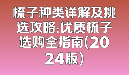 梳子种类详解及挑选攻略：优质梳子选购全指南（2024版）