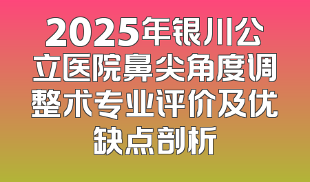 2025年银川公立医院鼻尖角度调整术专业评价及优缺点剖析