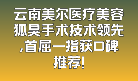 云南美尔医疗美容狐臭手术技术领先，首屈一指获口碑推荐！