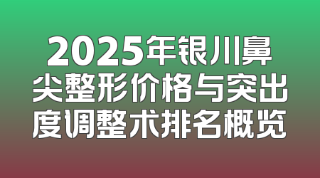 2025年银川鼻尖整形价格与突出度调整术排名概览