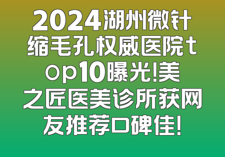 2024湖州微针缩毛孔权威医院top10曝光！美之匠医美诊所获网友推荐口碑佳！