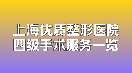 上海优质整形医院四级手术服务一览
