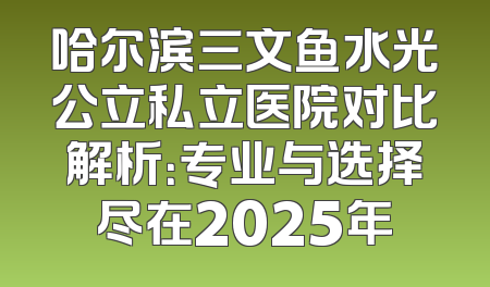 哈尔滨三文鱼水光公立私立医院对比解析：专业与选择尽在2025年