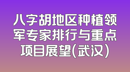 八字胡地区种植领军专家排行与重点项目展望（武汉）