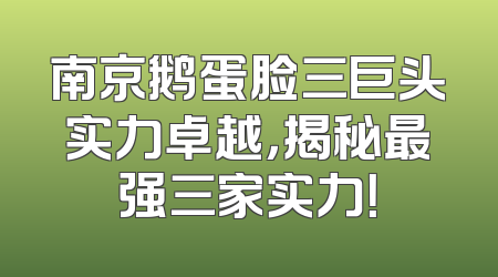 南京鹅蛋脸三巨头实力卓越，揭秘最强三家实力！