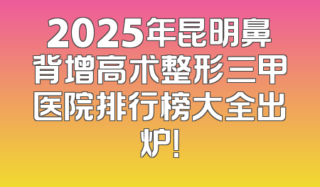 2025年昆明鼻背增高术整形三甲医院排行榜大全出炉！