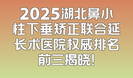 2025湖北鼻小柱下垂矫正联合延长术医院权威排名前三揭晓！
