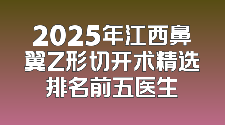 2025年江西鼻翼Z形切开术精选排名前五医生