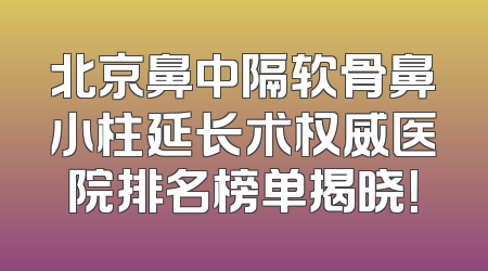 北京鼻中隔软骨鼻小柱延长术权威医院排名榜单揭晓！