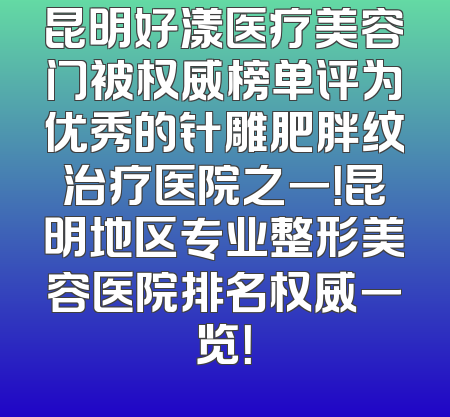 昆明好漾医疗美容门被权威榜单评为优秀的针雕肥胖纹治疗医院之一！昆明地区专业整形美容医院排名权威一览！