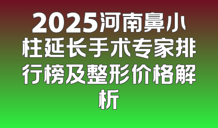 2025河南鼻小柱延长手术专家排行榜及整形价格解析