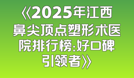 《2025年江西鼻尖顶点塑形术医院排行榜：好口碑引领者》