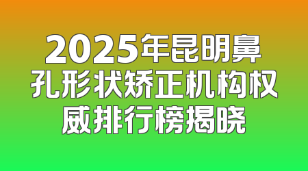 2025年昆明鼻孔形状矫正机构权威排行榜揭晓