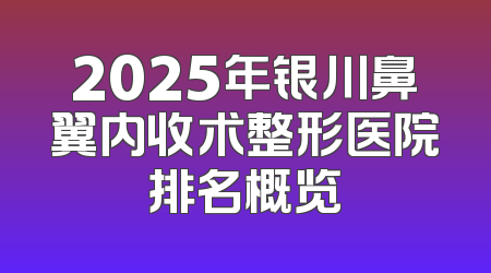 2025年银川鼻翼内收术整形医院排名概览