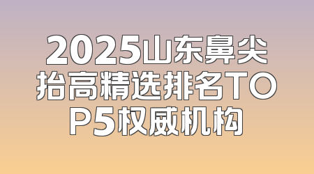 2025山东鼻尖抬高精选排名TOP5权威机构