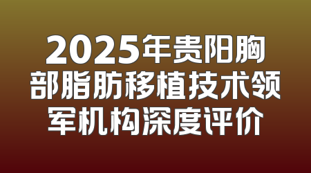 2025年贵阳胸部脂肪移植技术领军机构深度评价