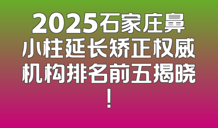 2025石家庄鼻小柱延长矫正权威机构排名前五揭晓！