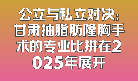 公立与私立对决：甘肃抽脂肪隆胸手术的专业比拼在2025年展开