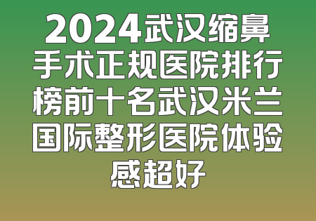 2024武汉缩鼻手术正规医院排行榜前十名武汉米兰国际整形医院体验感超好
