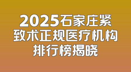 2025石家庄紧致术正规医疗机构排行榜揭晓