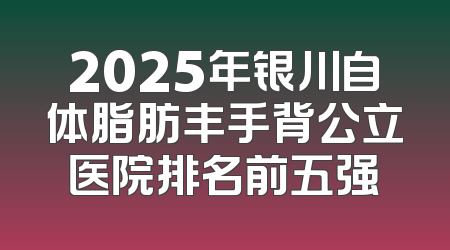 2025年银川自体脂肪丰手背公立医院排名前五强