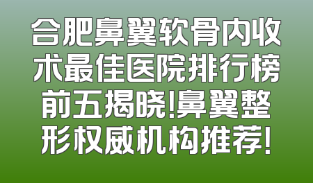 合肥鼻翼软骨内收术最佳医院排行榜前五揭晓！鼻翼整形权威机构推荐！