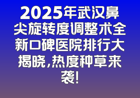2025年武汉鼻尖旋转度调整术全新口碑医院排行大揭晓，热度种草来袭！